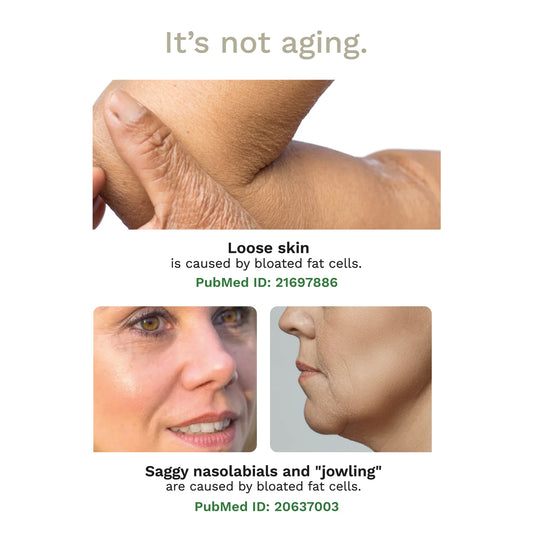 Intro to Adipeau bundle